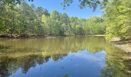 Photo #32 of Off of NC 109, Wadesboro, NC 10.0 acres