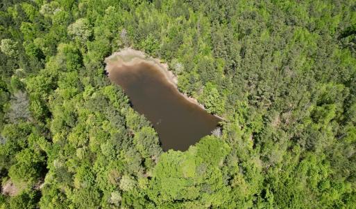 Photo #5 of Off of NC 109, Wadesboro, NC 10.0 acres