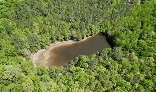 Photo #6 of Off of NC 109, Wadesboro, NC 10.0 acres