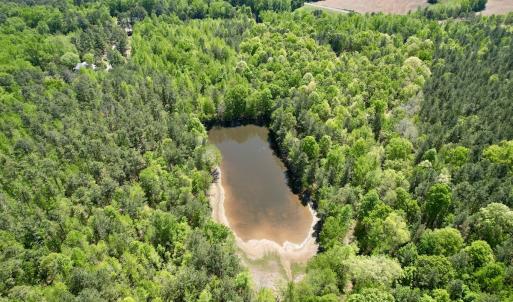 Photo #7 of Off of NC 109, Wadesboro, NC 10.0 acres