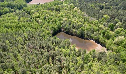 Photo #8 of Off of NC 109, Wadesboro, NC 10.0 acres