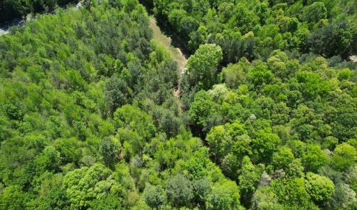 Photo #9 of Off of NC 109, Wadesboro, NC 10.0 acres