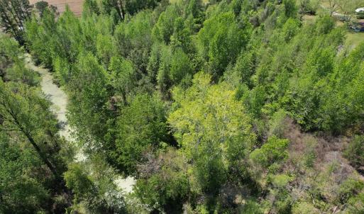 Photo #14 of 4758 Princess Ann Rd, Chadbourn, NC 7.0 acres