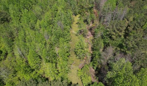 Photo #15 of 4758 Princess Ann Rd, Chadbourn, NC 7.0 acres