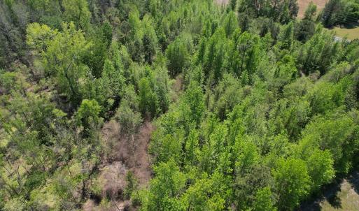 Photo #16 of 4758 Princess Ann Rd, Chadbourn, NC 7.0 acres