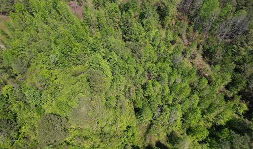 Photo #17 of 4758 Princess Ann Rd, Chadbourn, NC 7.0 acres