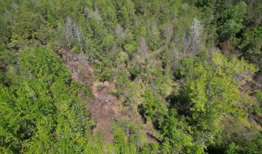 Photo #18 of 4758 Princess Ann Rd, Chadbourn, NC 7.0 acres