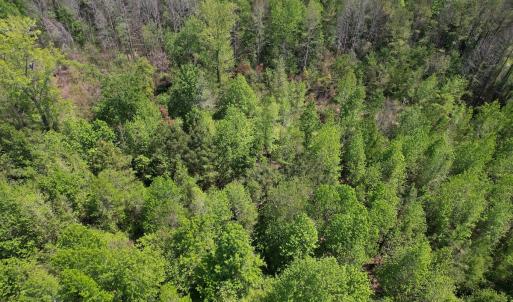 Photo #19 of 4758 Princess Ann Rd, Chadbourn, NC 7.0 acres