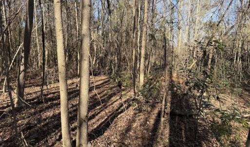 Photo #24 of 4758 Princess Ann Rd, Chadbourn, NC 7.0 acres