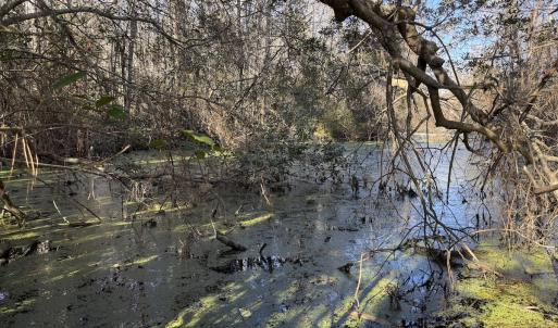 Photo #25 of 4758 Princess Ann Rd, Chadbourn, NC 7.0 acres