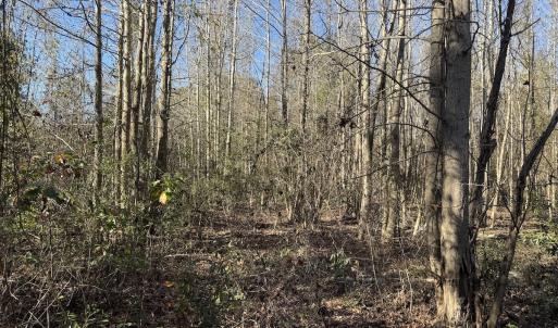 Photo #26 of 4758 Princess Ann Rd, Chadbourn, NC 7.0 acres