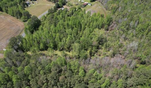 Photo #3 of 4758 Princess Ann Rd, Chadbourn, NC 7.0 acres