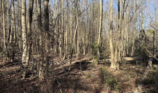 Photo #28 of 4758 Princess Ann Rd, Chadbourn, NC 7.0 acres