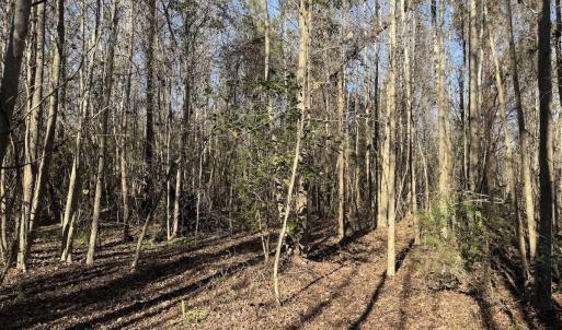 Photo #29 of 4758 Princess Ann Rd, Chadbourn, NC 7.0 acres
