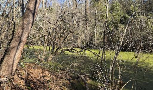 Photo #30 of 4758 Princess Ann Rd, Chadbourn, NC 7.0 acres