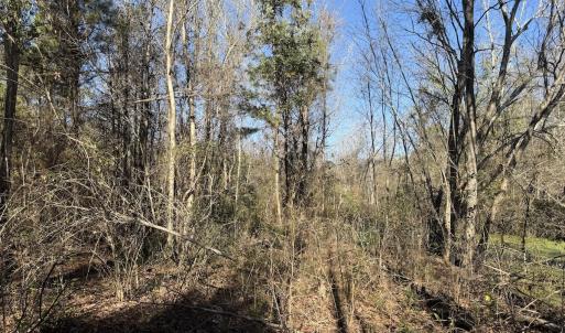 Photo #31 of 4758 Princess Ann Rd, Chadbourn, NC 7.0 acres