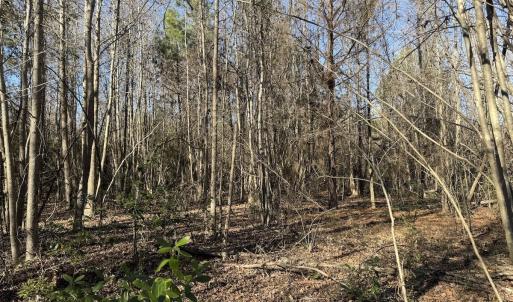 Photo #32 of 4758 Princess Ann Rd, Chadbourn, NC 7.0 acres