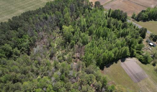 Photo #8 of 4758 Princess Ann Rd, Chadbourn, NC 7.0 acres