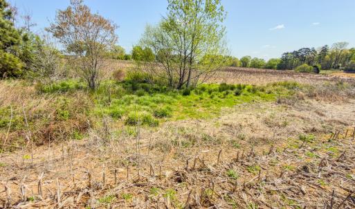 Photo #12 of 17643 Efird Road, Albemarle, NC 71.5 acres