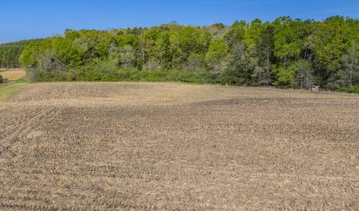Photo #13 of 17643 Efird Road, Albemarle, NC 71.5 acres