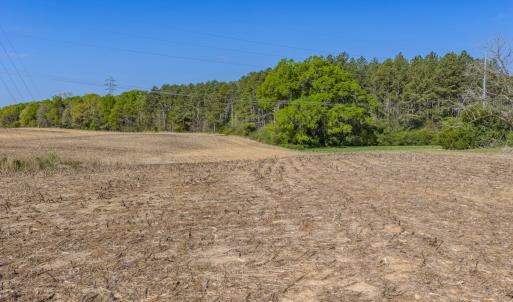 Photo #15 of 17643 Efird Road, Albemarle, NC 71.5 acres