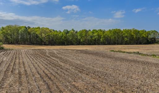 Photo #16 of 17643 Efird Road, Albemarle, NC 71.5 acres