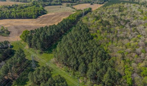 Photo #21 of 17643 Efird Road, Albemarle, NC 71.5 acres