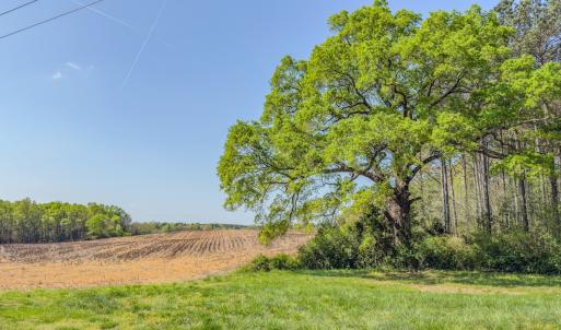 Photo #22 of 17643 Efird Road, Albemarle, NC 71.5 acres