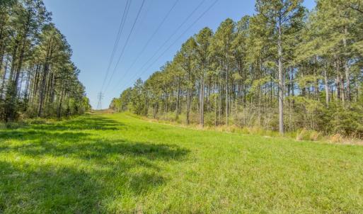Photo #23 of 17643 Efird Road, Albemarle, NC 71.5 acres
