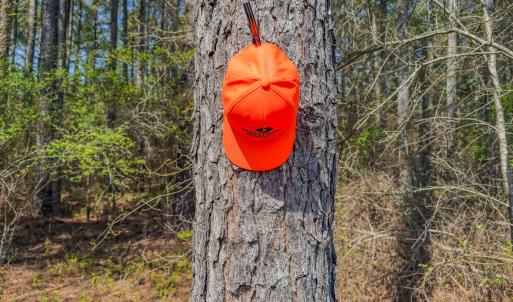 Photo #25 of 17643 Efird Road, Albemarle, NC 71.5 acres