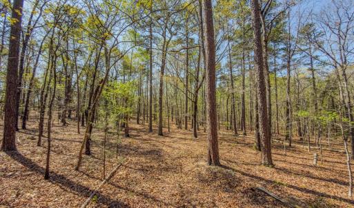 Photo #26 of 17643 Efird Road, Albemarle, NC 71.5 acres