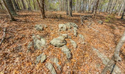 Photo #27 of 17643 Efird Road, Albemarle, NC 71.5 acres