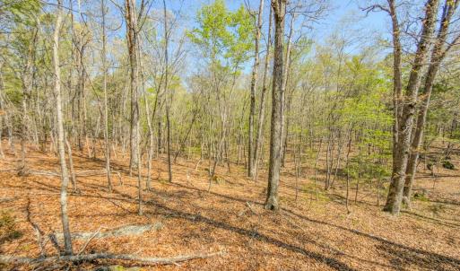 Photo #28 of 17643 Efird Road, Albemarle, NC 71.5 acres