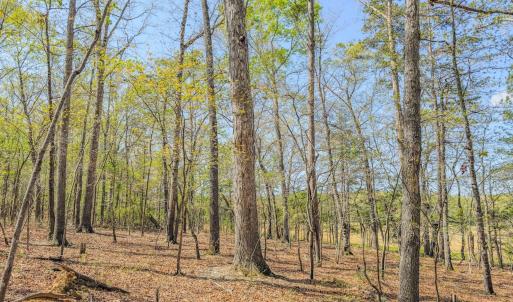 Photo #29 of 17643 Efird Road, Albemarle, NC 71.5 acres