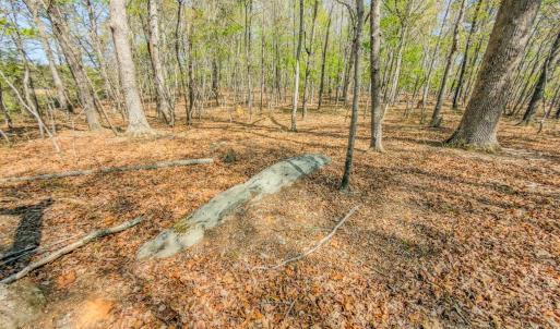 Photo #30 of 17643 Efird Road, Albemarle, NC 71.5 acres