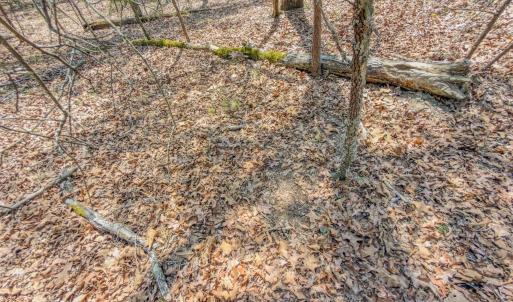 Photo #32 of 17643 Efird Road, Albemarle, NC 71.5 acres