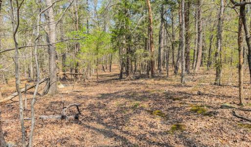 Photo #33 of 17643 Efird Road, Albemarle, NC 71.5 acres