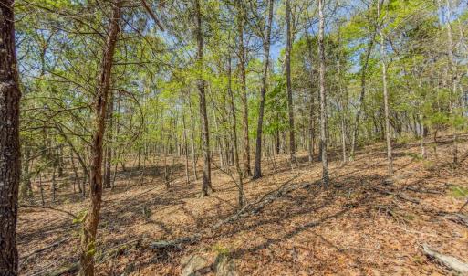 Photo #34 of 17643 Efird Road, Albemarle, NC 71.5 acres