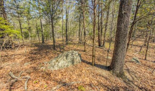 Photo #35 of 17643 Efird Road, Albemarle, NC 71.5 acres