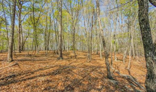 Photo #36 of 17643 Efird Road, Albemarle, NC 71.5 acres