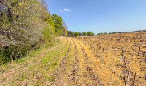 Photo #37 of 17643 Efird Road, Albemarle, NC 71.5 acres