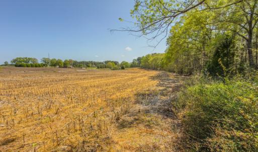 Photo #38 of 17643 Efird Road, Albemarle, NC 71.5 acres