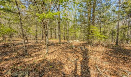 Photo #39 of 17643 Efird Road, Albemarle, NC 71.5 acres