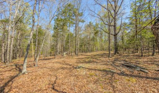 Photo #40 of 17643 Efird Road, Albemarle, NC 71.5 acres