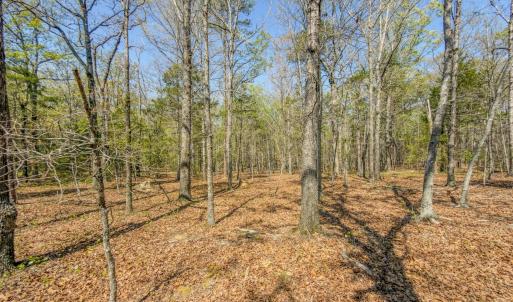 Photo #41 of 17643 Efird Road, Albemarle, NC 71.5 acres
