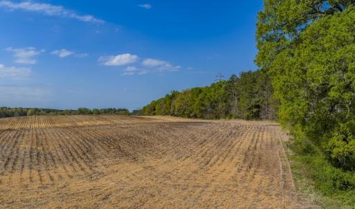 Photo #5 of 17643 Efird Road, Albemarle, NC 71.5 acres