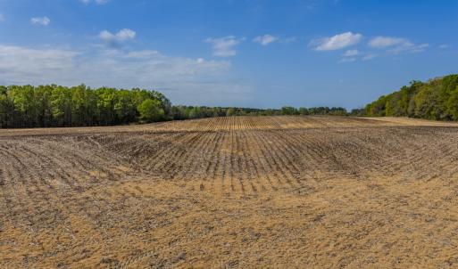 Photo #6 of 17643 Efird Road, Albemarle, NC 71.5 acres