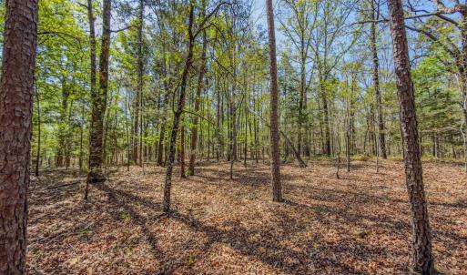 Photo #42 of 17643 Efird Road, Albemarle, NC 71.5 acres