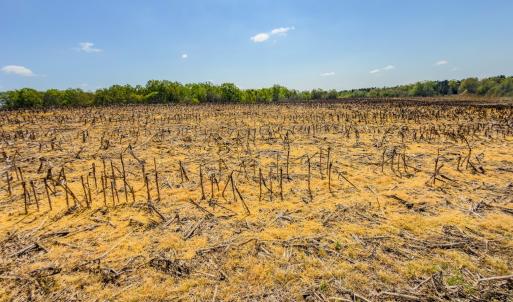 Photo #44 of 17643 Efird Road, Albemarle, NC 71.5 acres