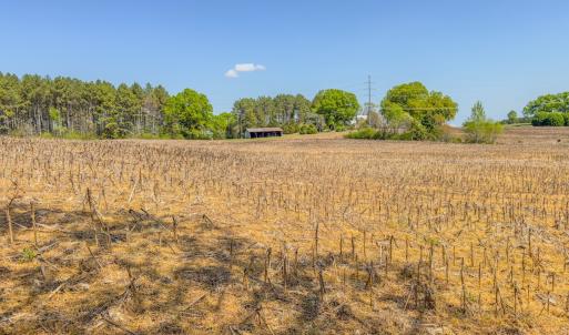 Photo #45 of 17643 Efird Road, Albemarle, NC 71.5 acres